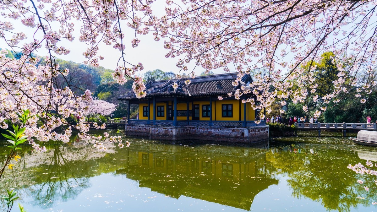 2023年春------无锡鼋头渚春色（四）