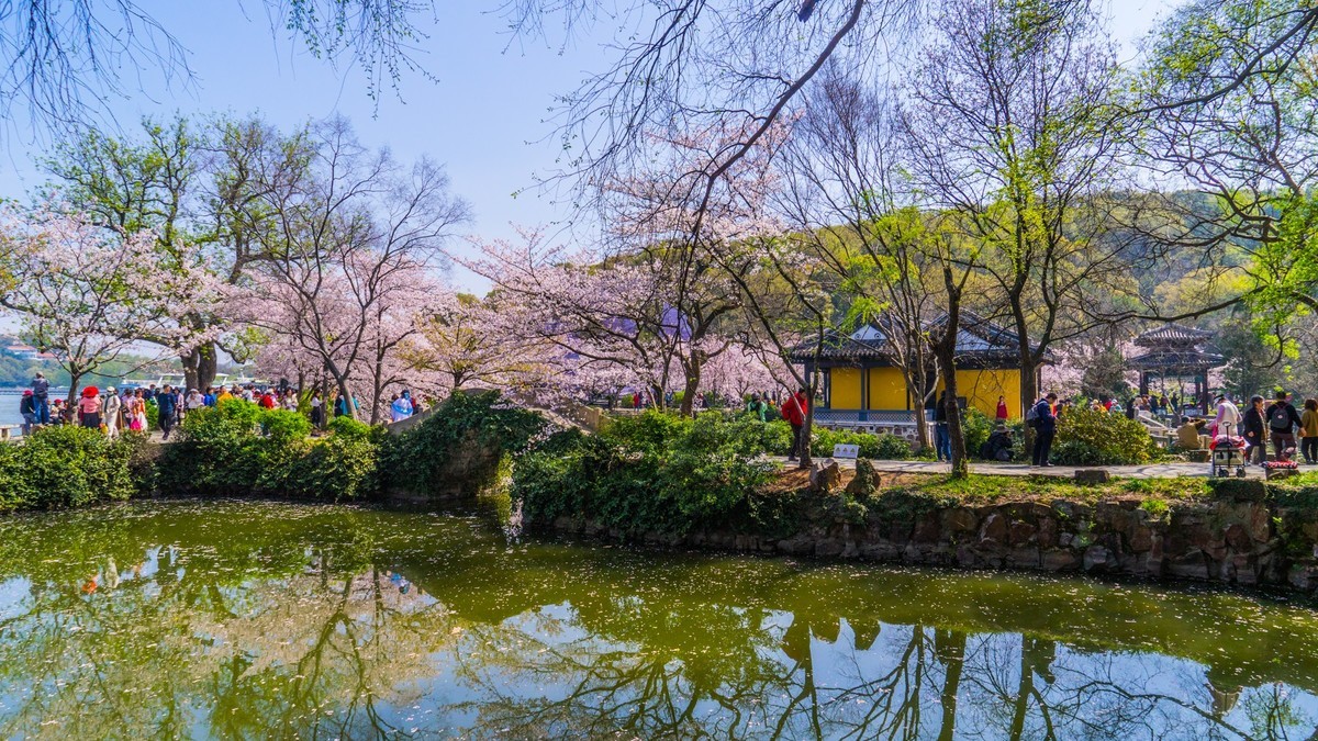 2023年春------无锡鼋头渚春色（四）