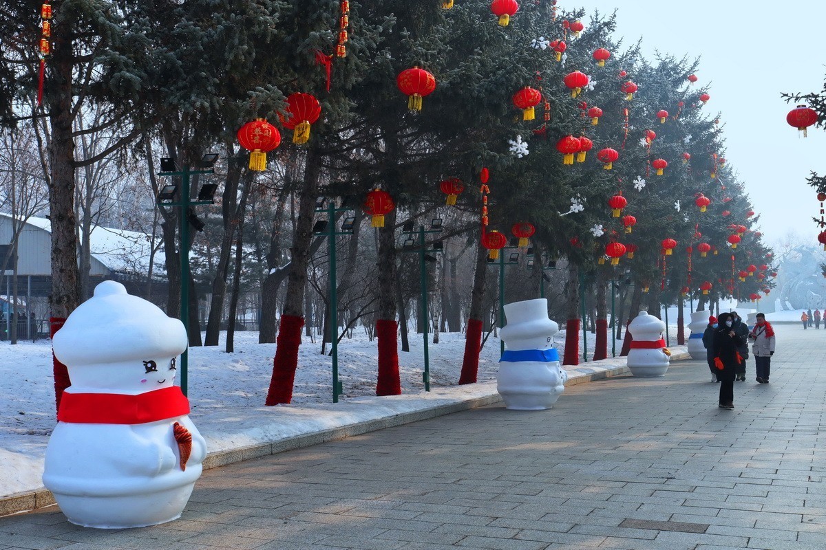 逰太阳岛雪博会---大年初一      7/8