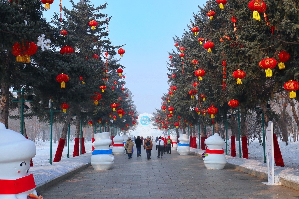 逰太阳岛雪博会---大年初一      7/8