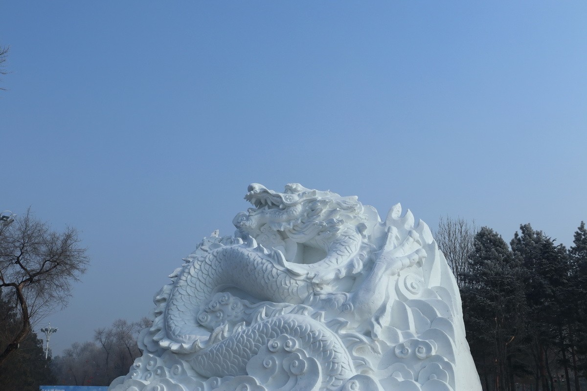 逰太阳岛雪博会---大年初一      7/8