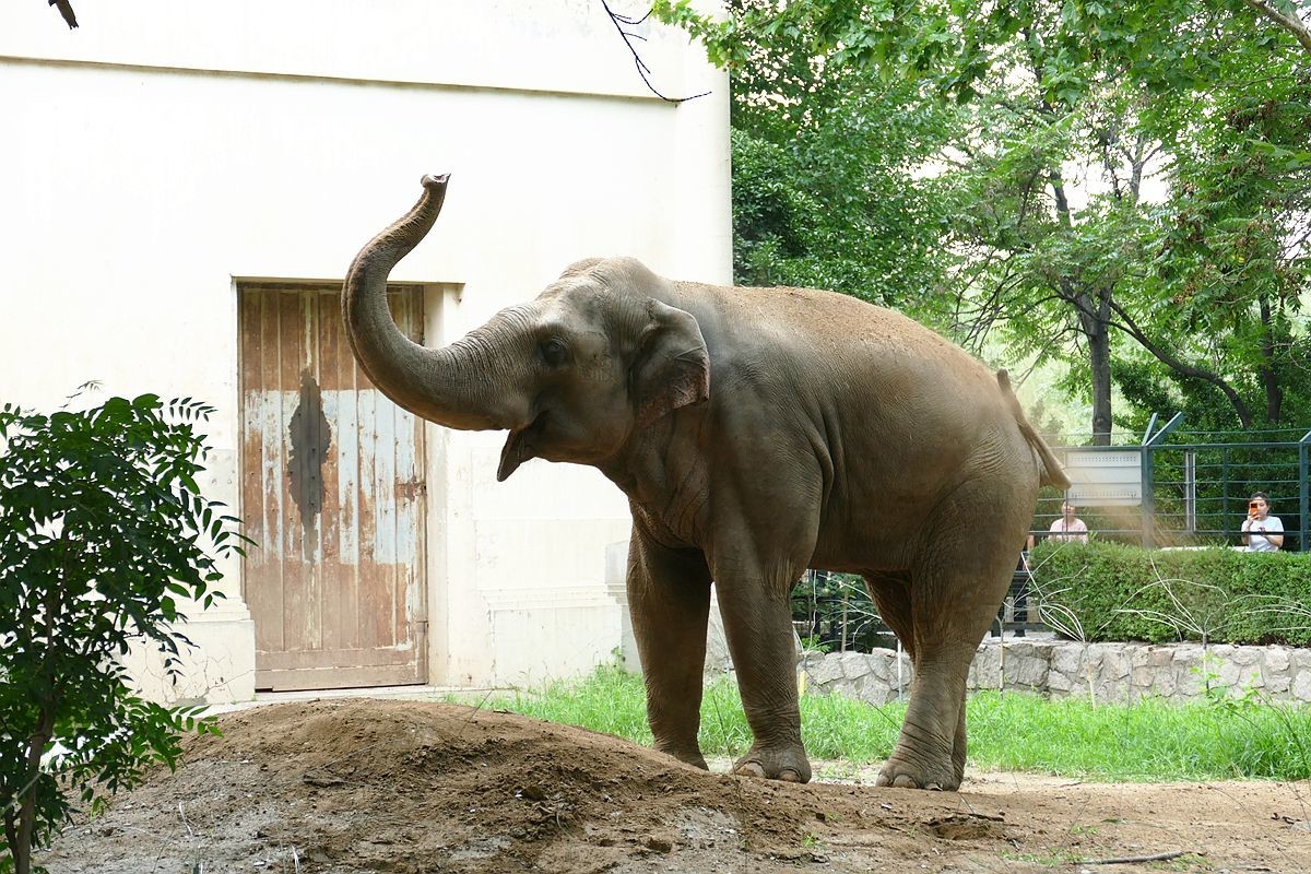 动 物 园【八】