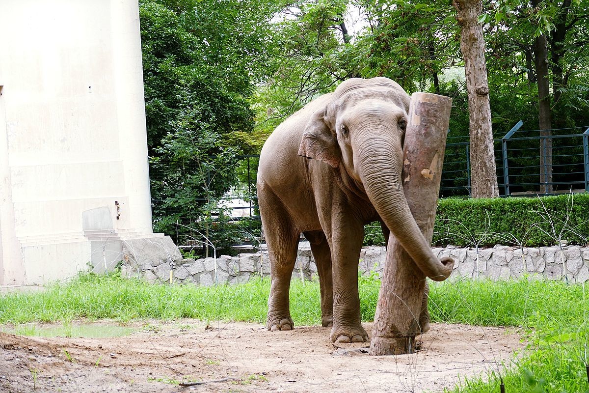 动 物 园【八】
