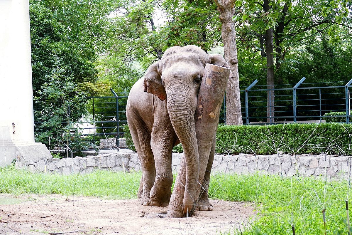 动 物 园【八】