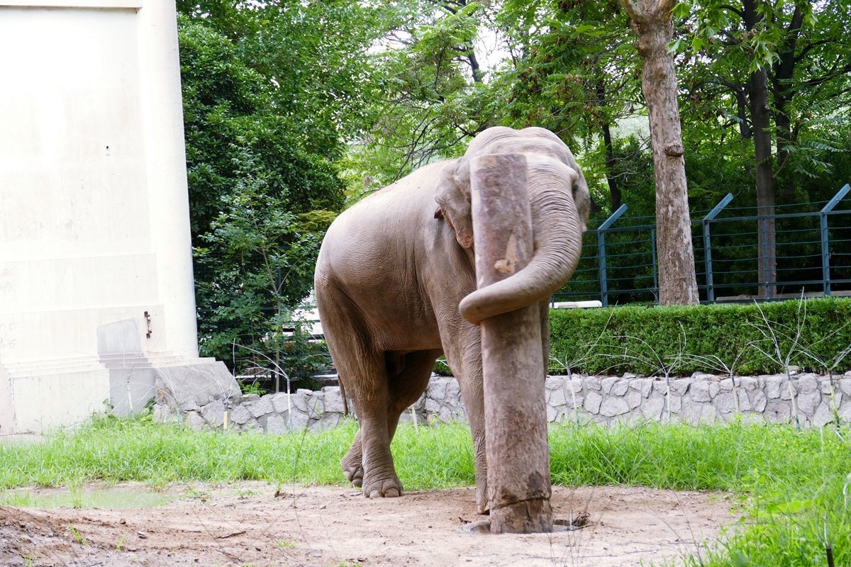 动 物 园【八】