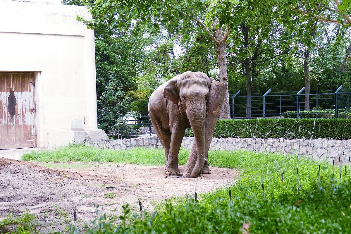 动 物 园【八】