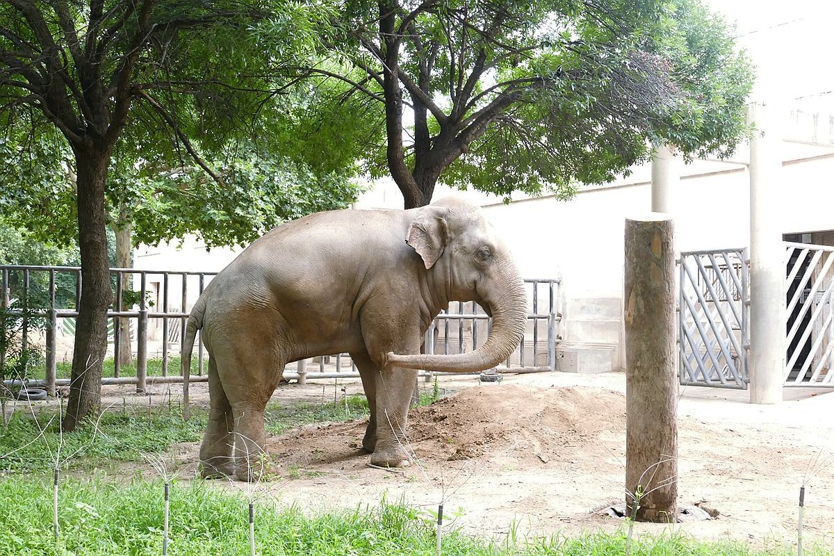 动 物 园【八】