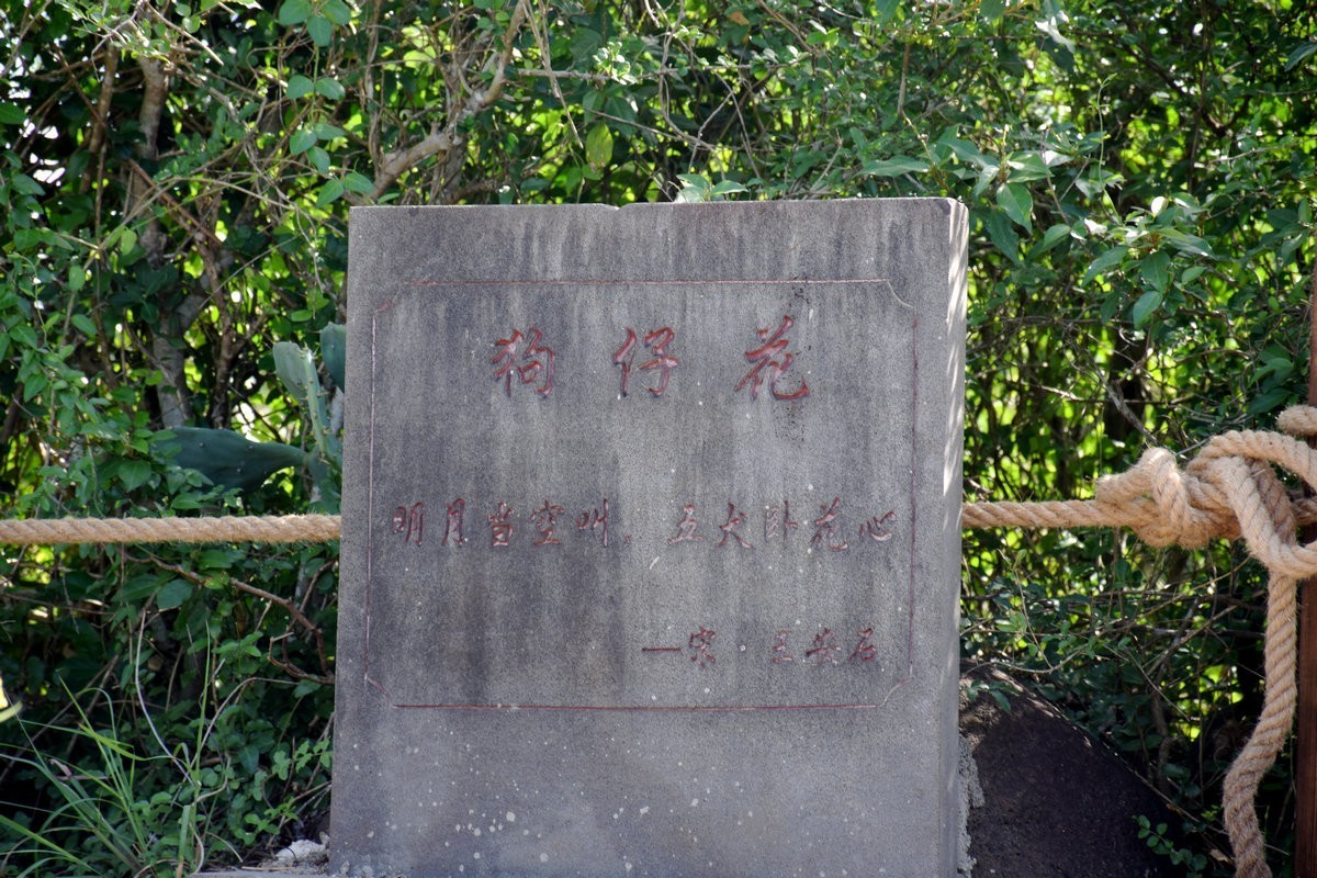 2024夏 海南环岛行（145）飘香千年的“东坡盐焗鸡”往事