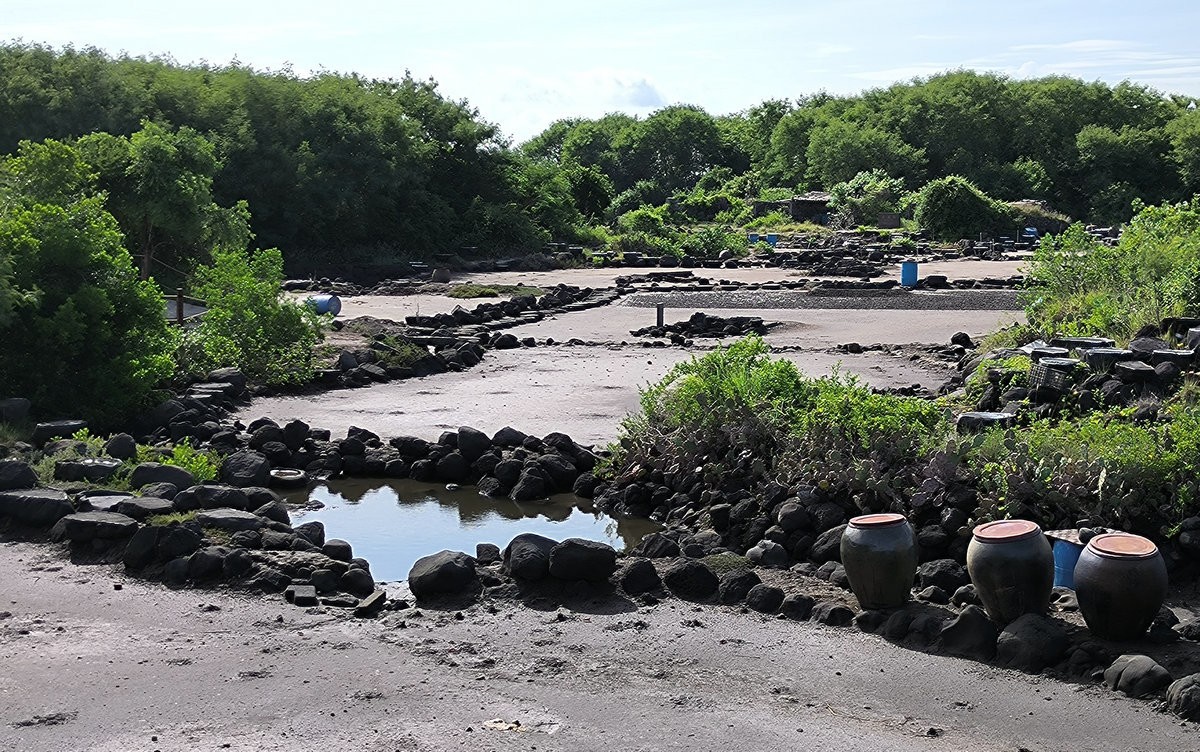 2024夏 海南环岛行（145）飘香千年的“东坡盐焗鸡”往事