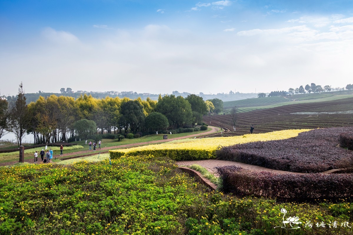 云南，弥勒市，东风韵景区图片。