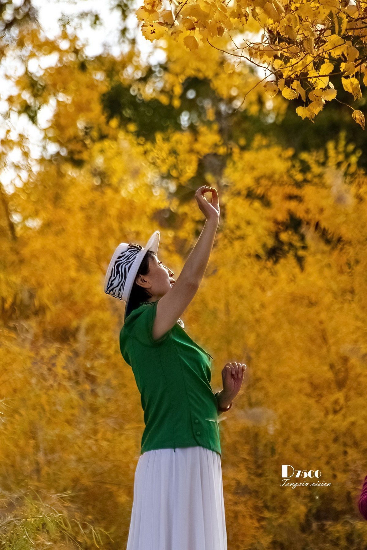 南疆行——罗布人村寨的秋（2）