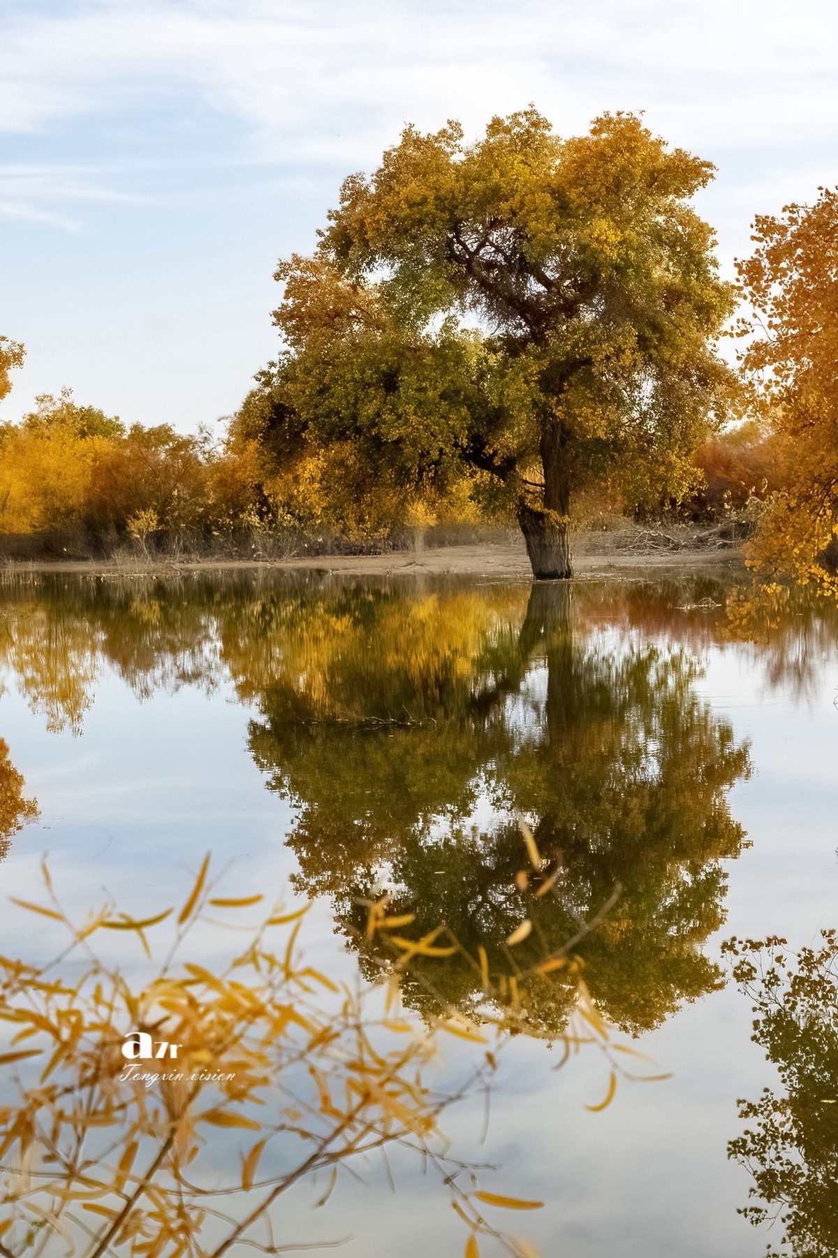 南疆行——罗布人村寨的秋（2）