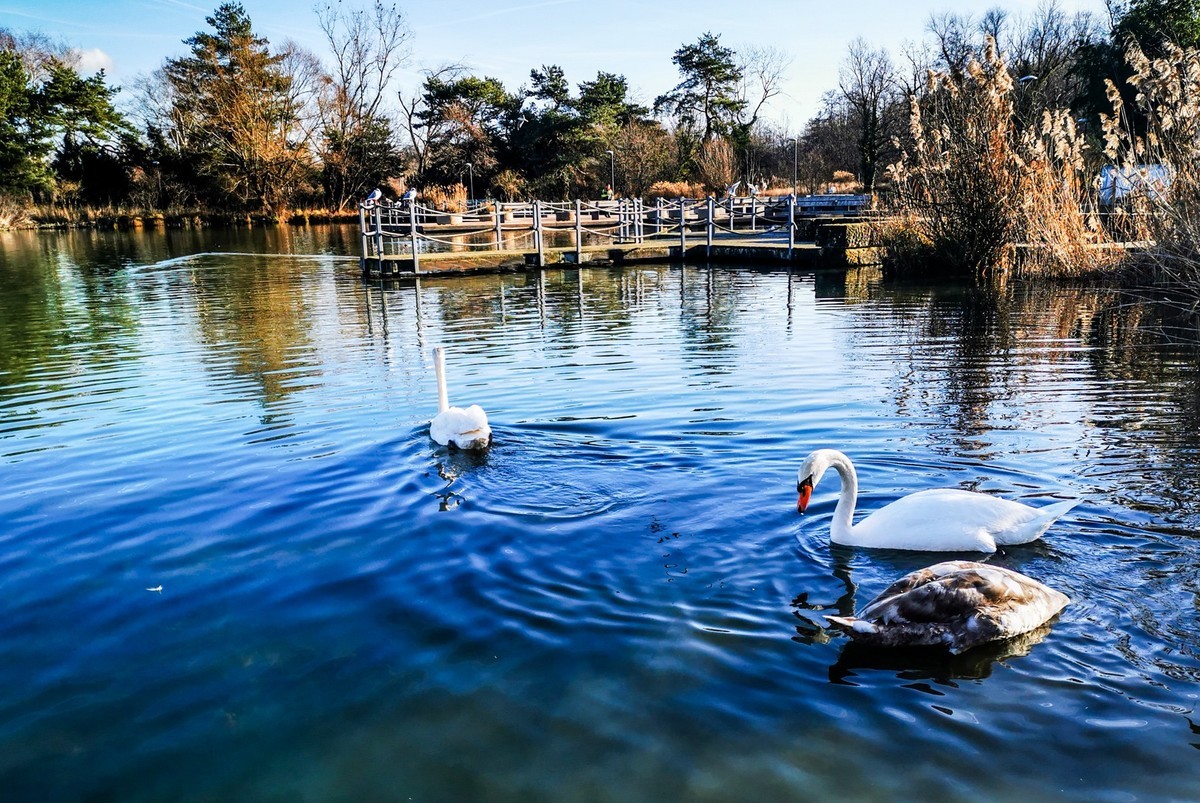 湖光水色（瑞士巴塞尔）