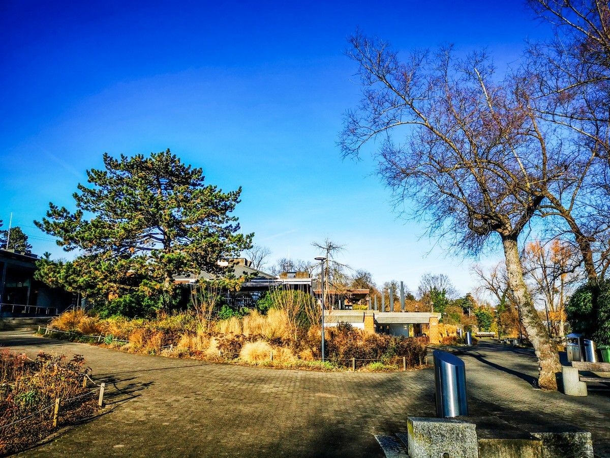 湖光水色（瑞士巴塞尔）