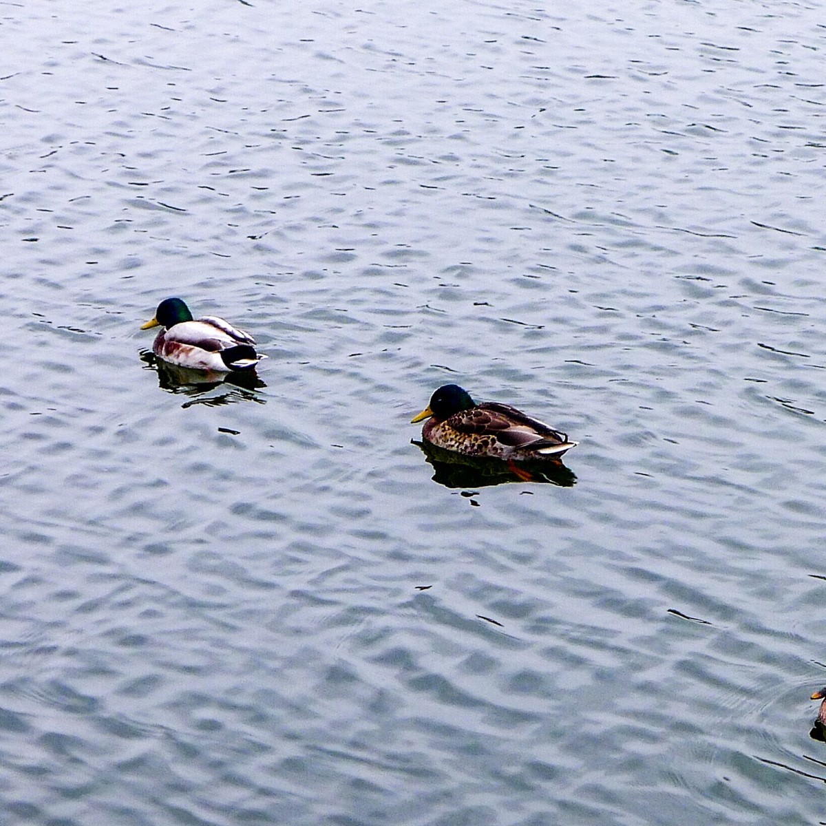 皇家行宫——“枫丹白露”（巴黎）