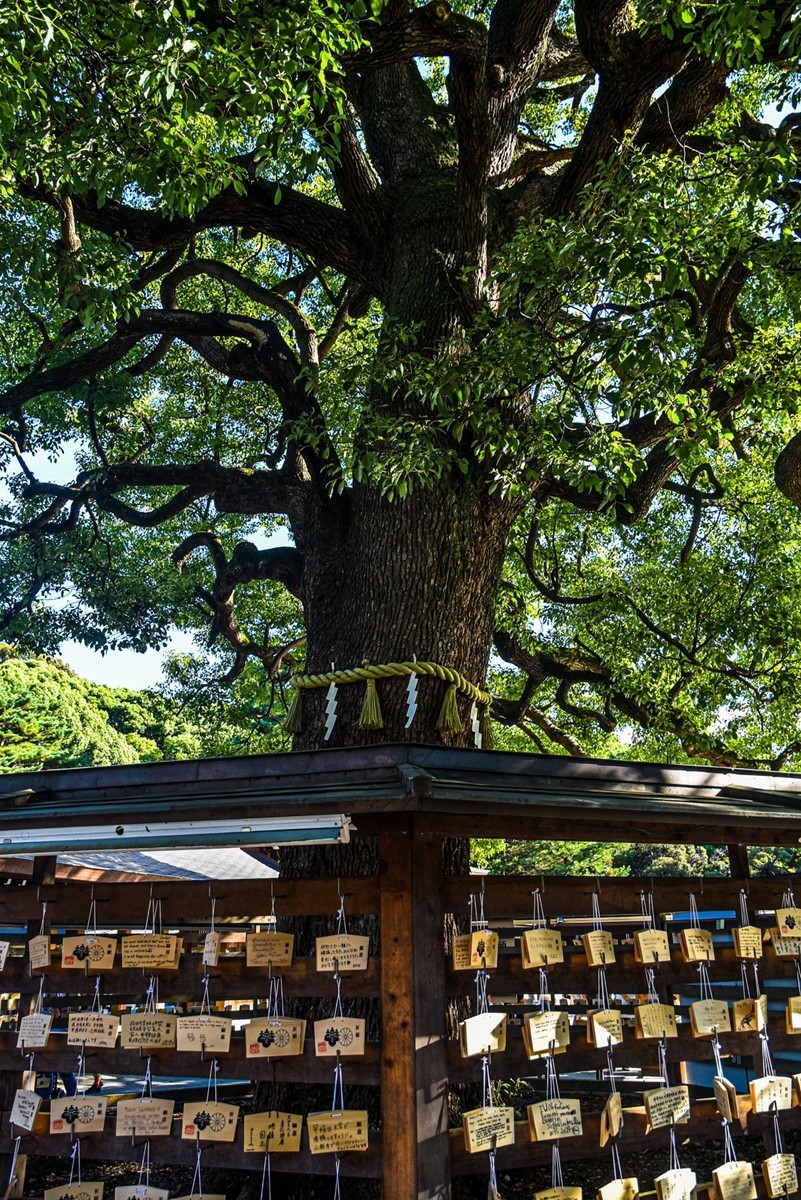 明治花园（日本东京）