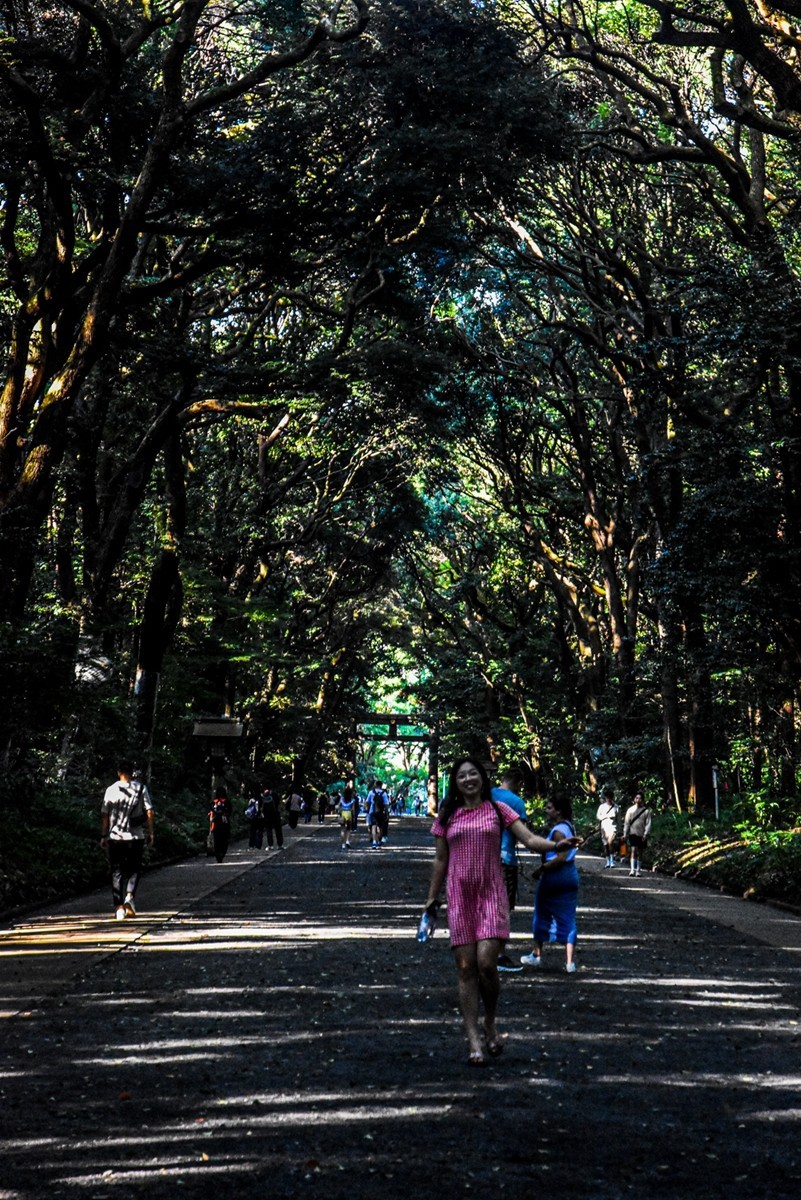 明治花园（日本东京）