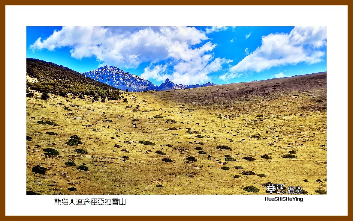 2023西行游记（四川056）—熊猫大道途经亚拉雪山（甘孜州道孚县）