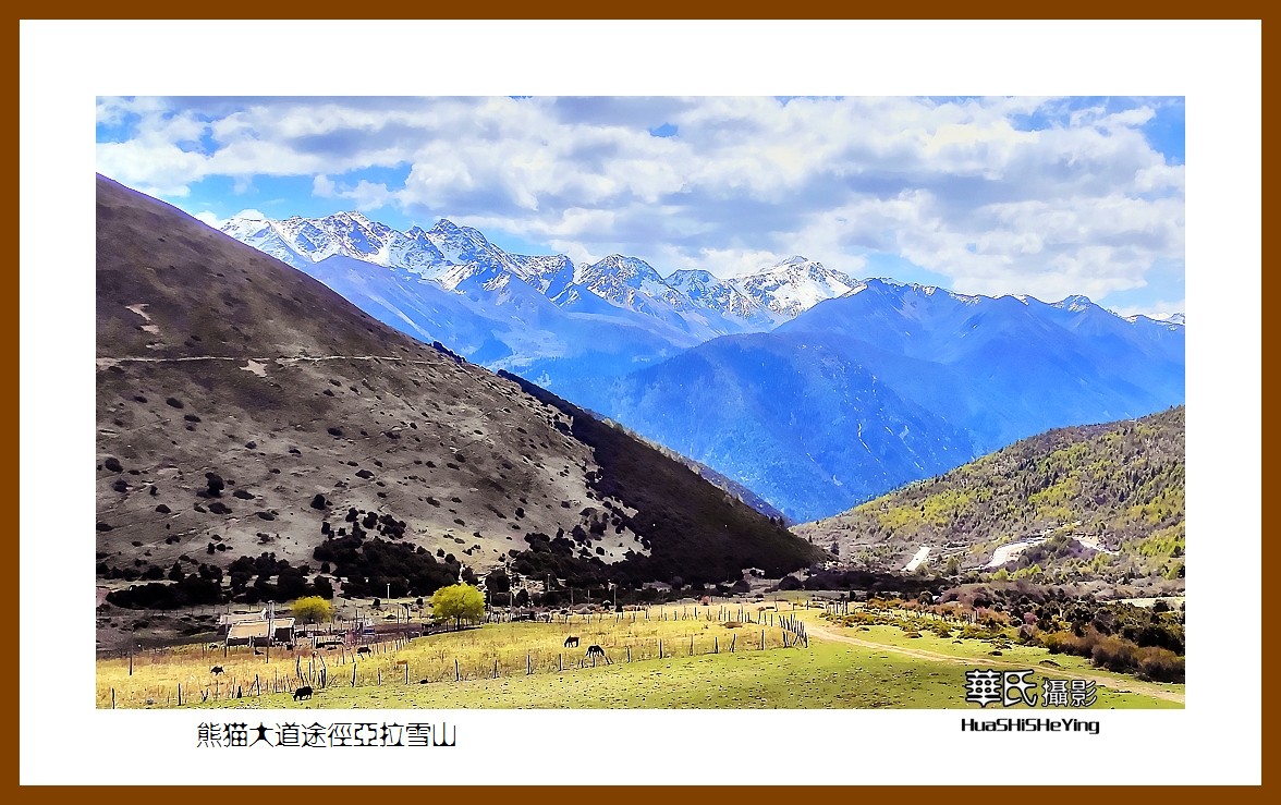 2023西行游记（四川056）—熊猫大道途经亚拉雪山（甘孜州道孚县）