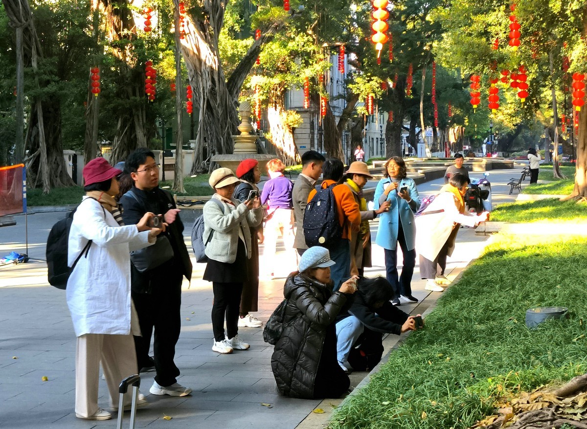 公园里的人气。