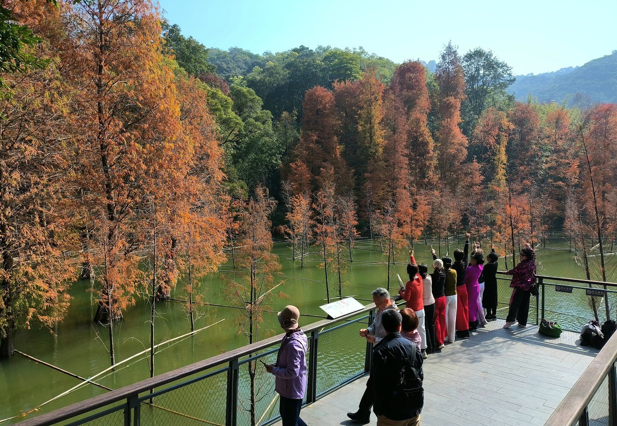 公园里的人气。