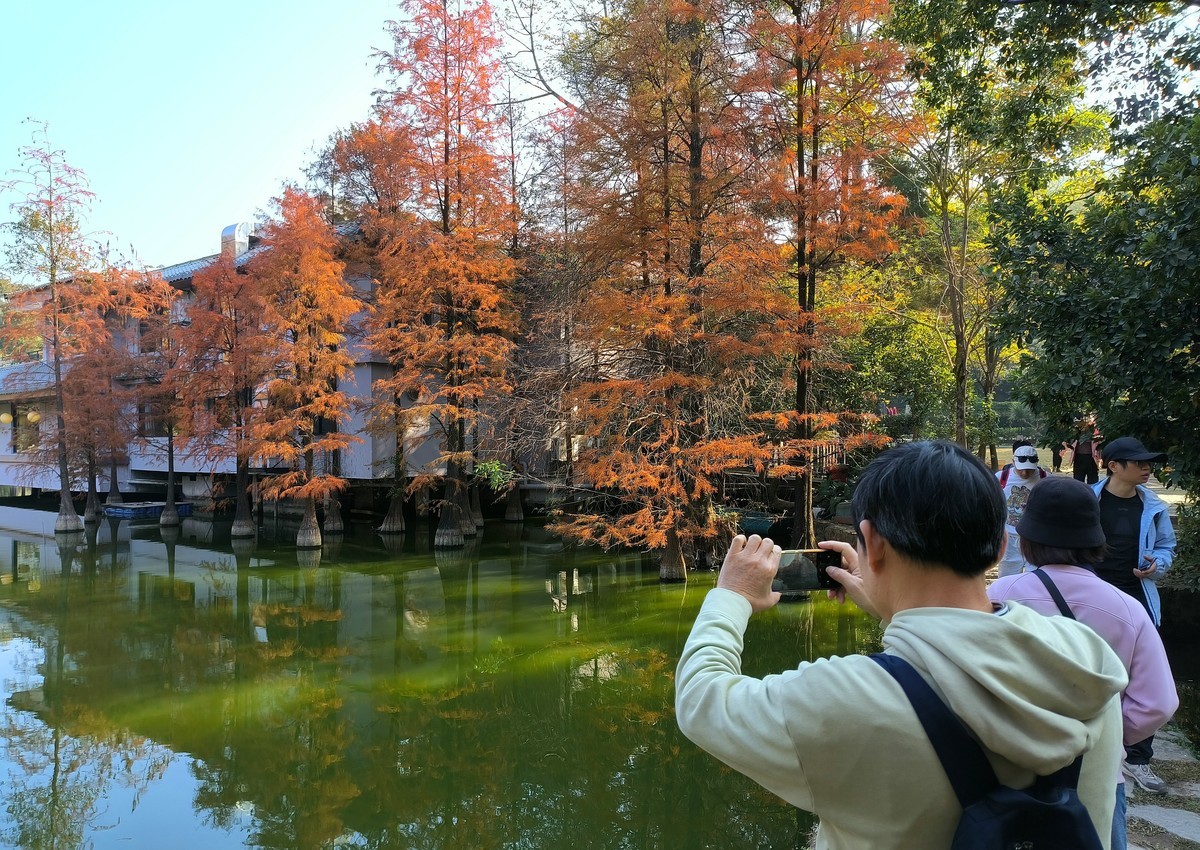 公园里的人气。