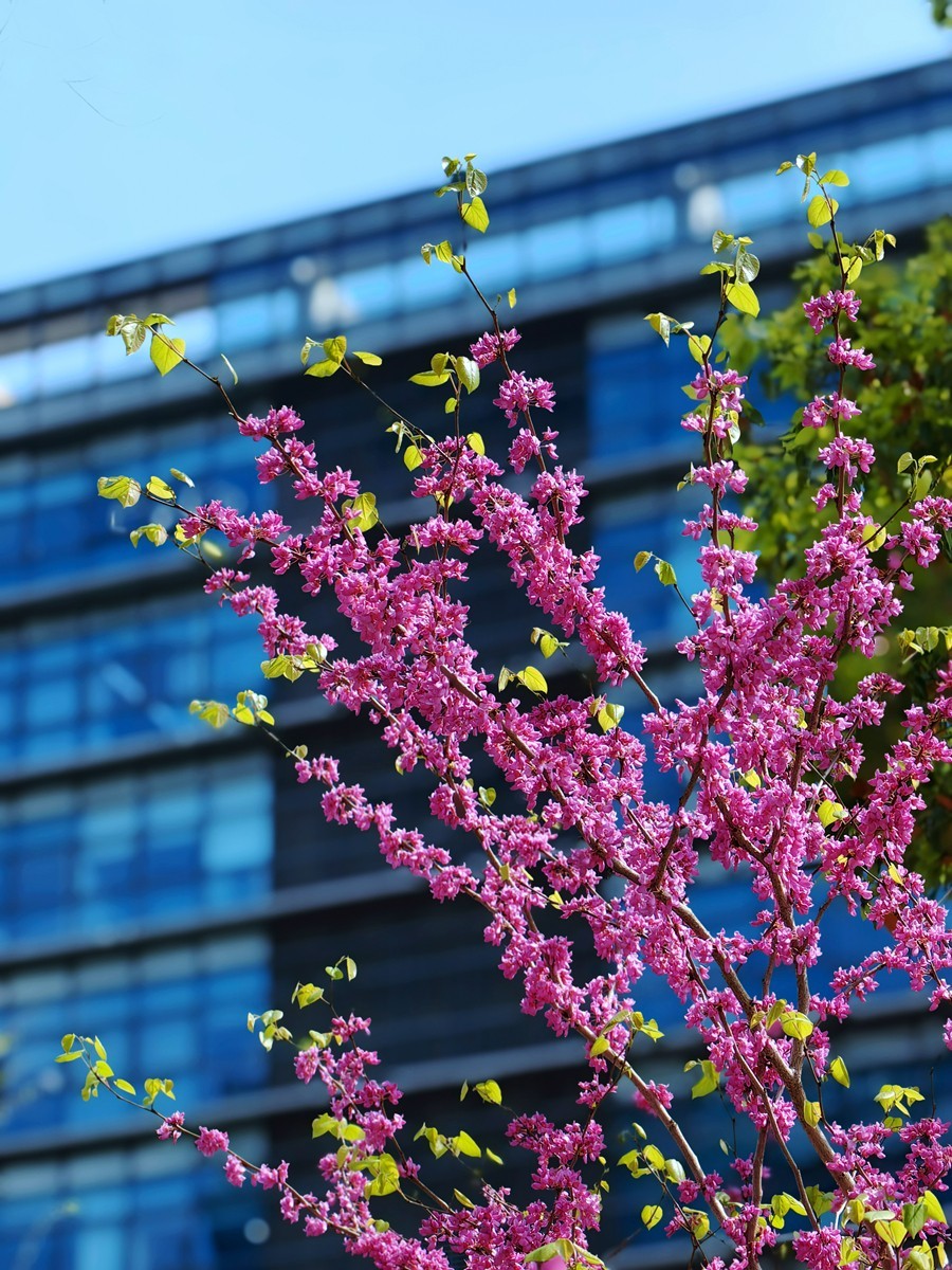 宁波同心湖小摄