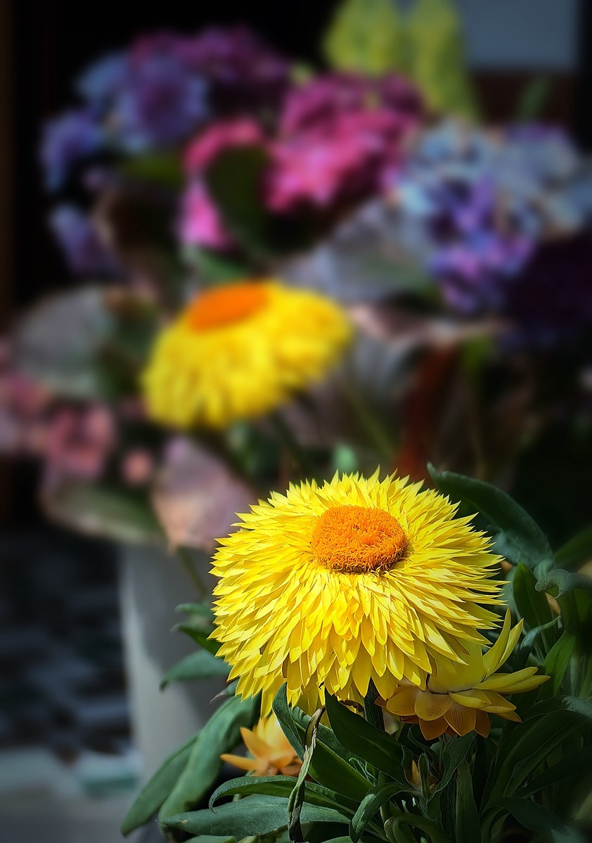 宁波同心湖小摄