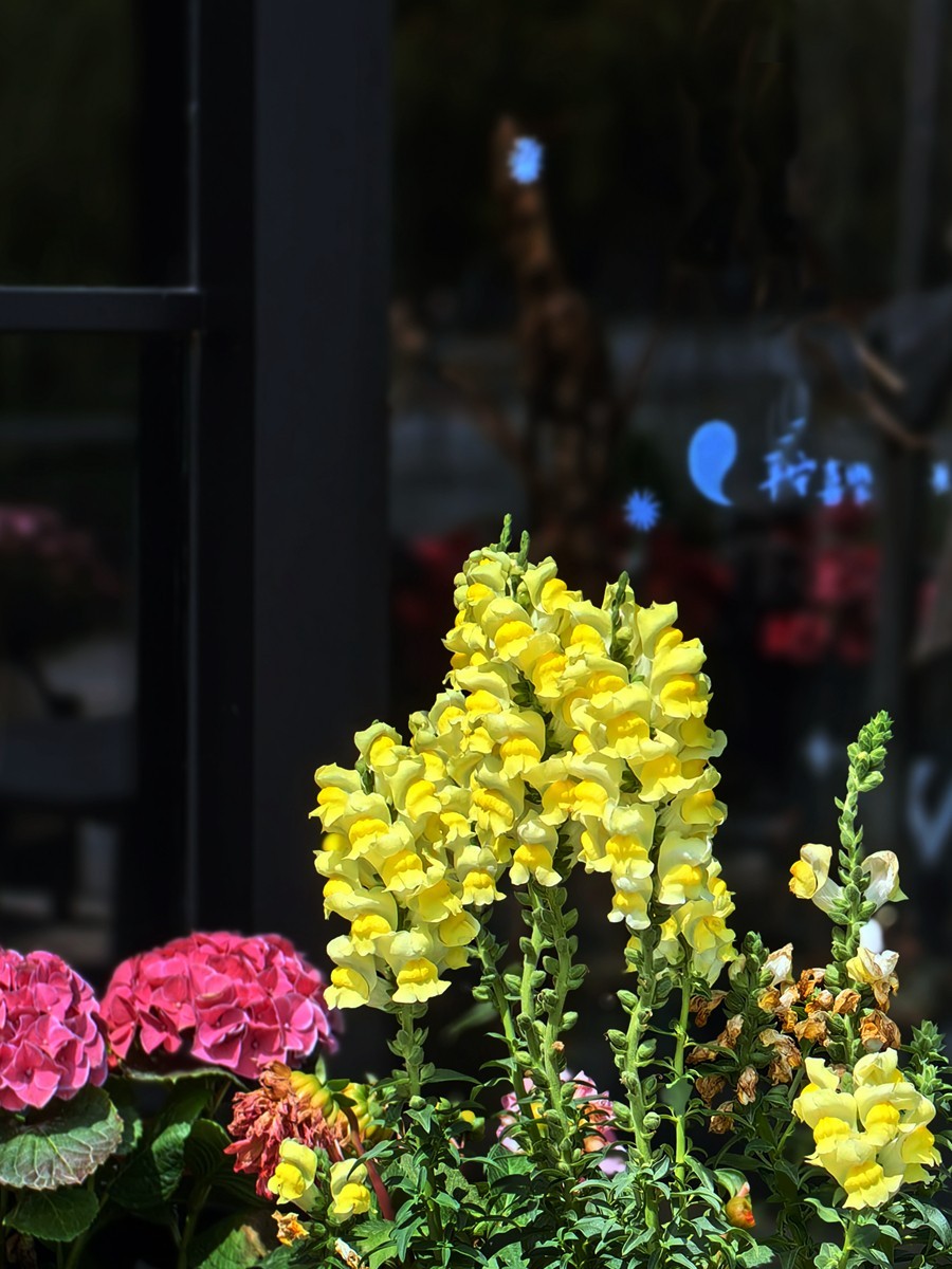 宁波同心湖小摄