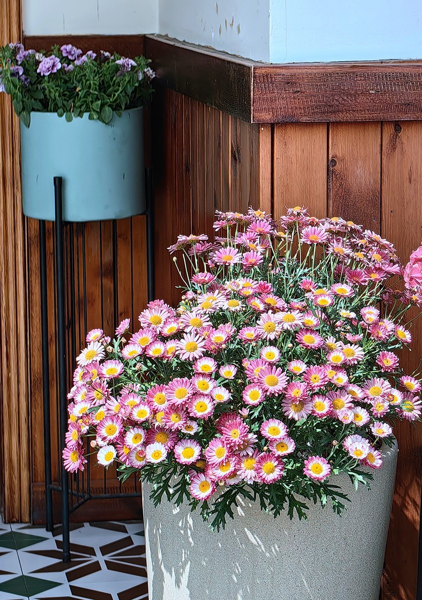 宁波同心湖小摄