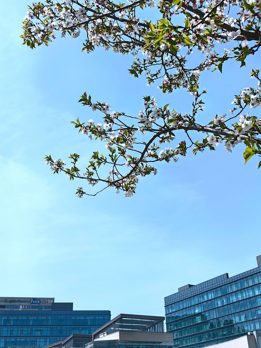 宁波同心湖小摄