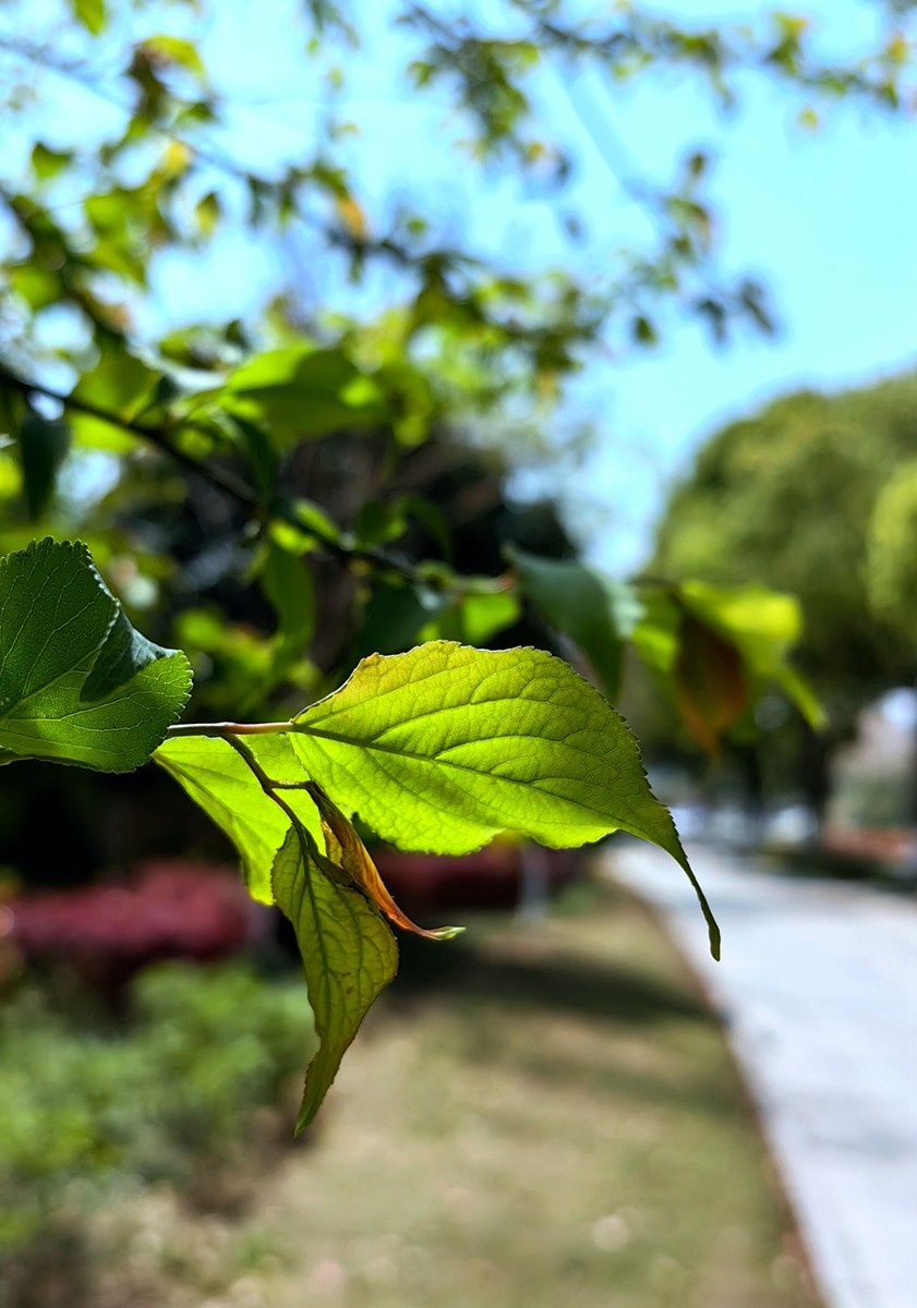 宁波同心湖小摄