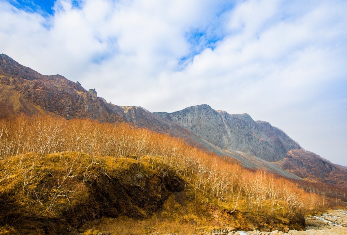 外出随拍（续313）.