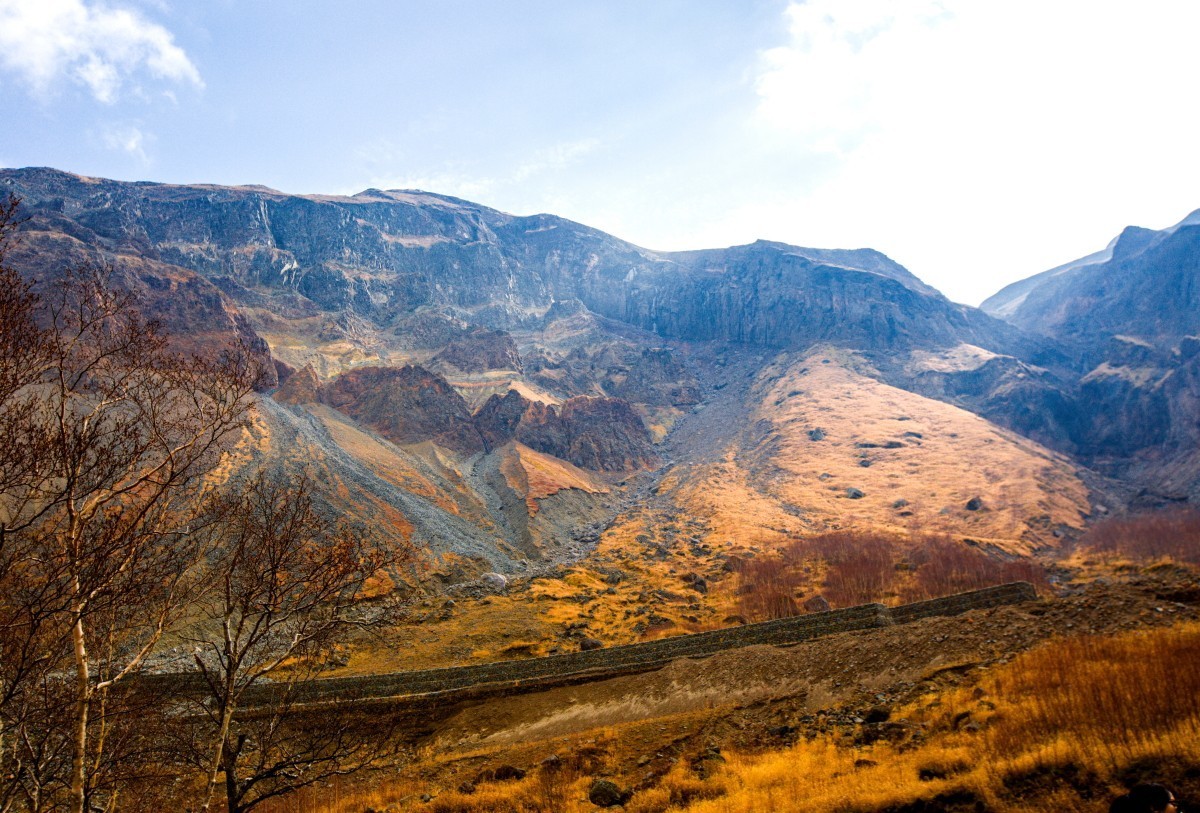 外出随拍（续313）.