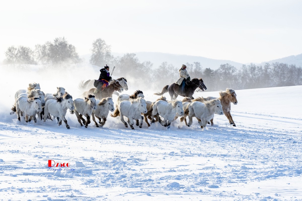 策马奔腾（80）