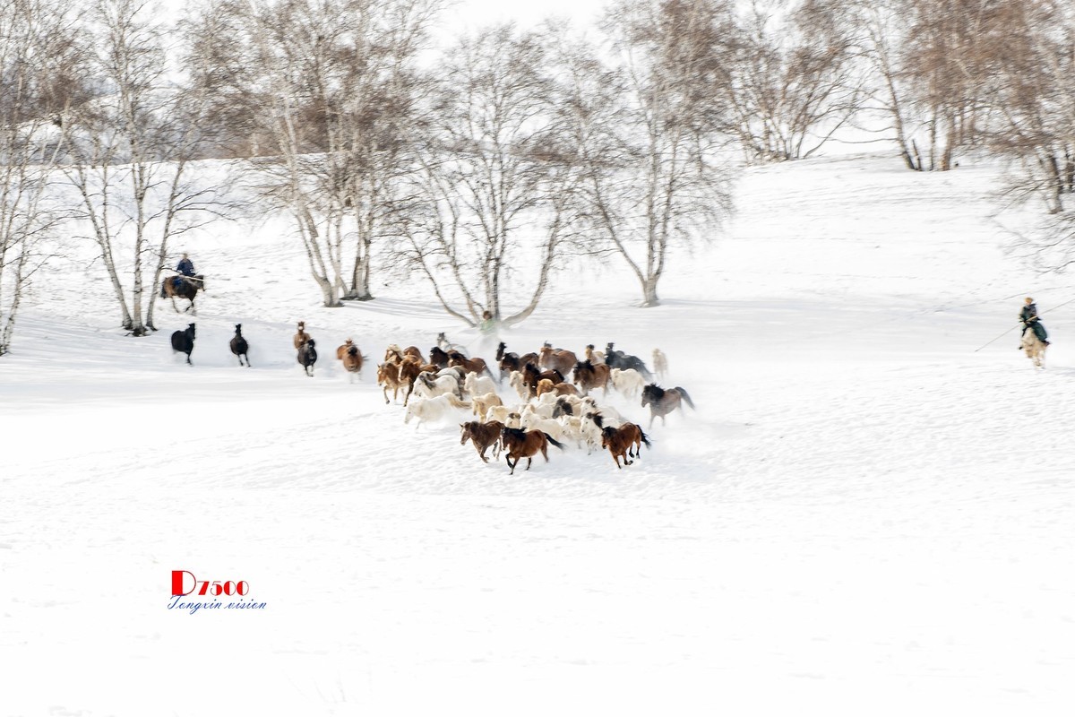 策马奔腾（80）