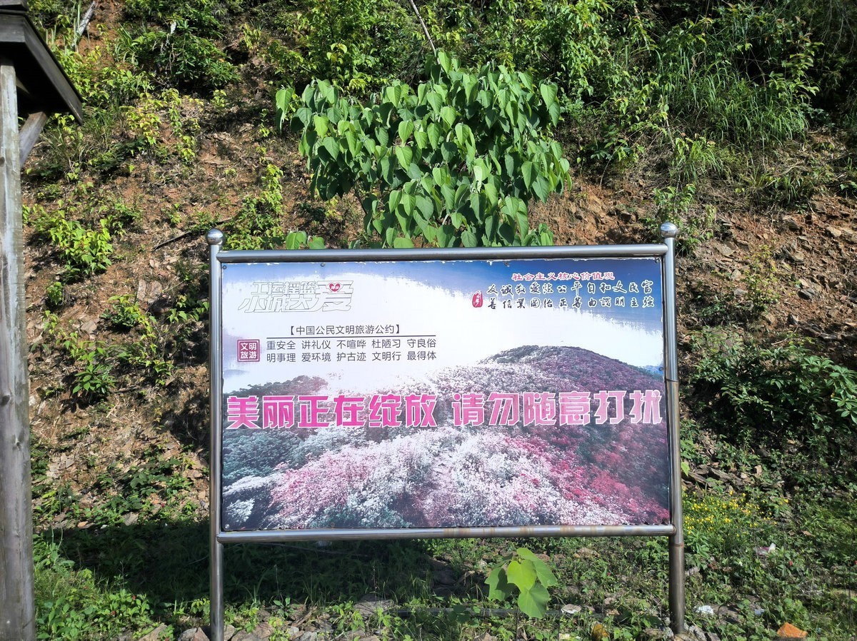 2025春夏之季 湘赣边（25）山岭风光“四八门”【答谢篇】