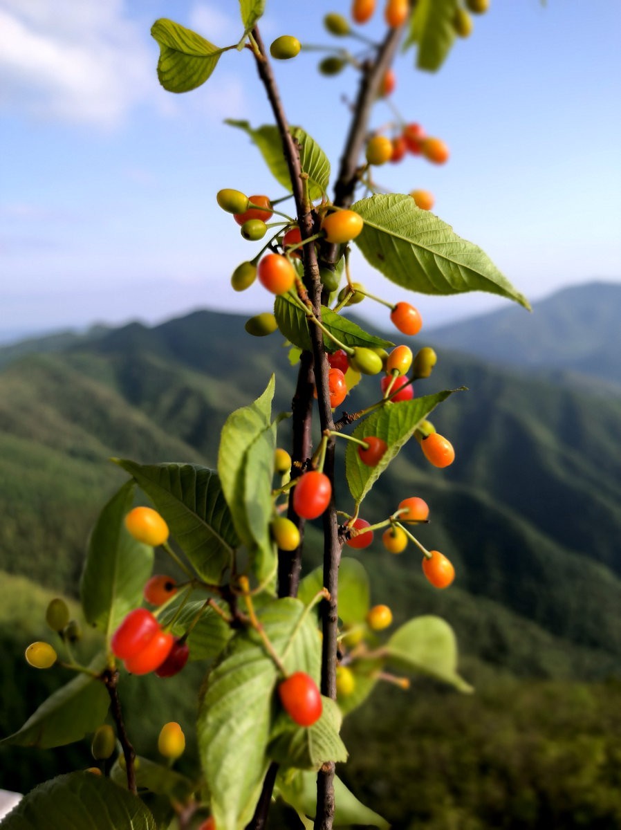 2025春夏之季 湘赣边（25）山岭风光“四八门”【答谢篇】