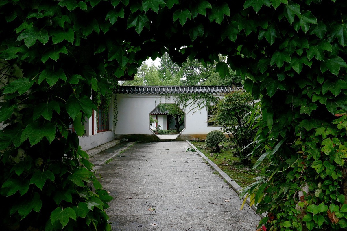 武汉映像---夏日的磨山荷花园！