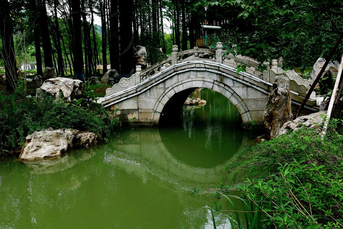 武汉映像---夏日的磨山荷花园！