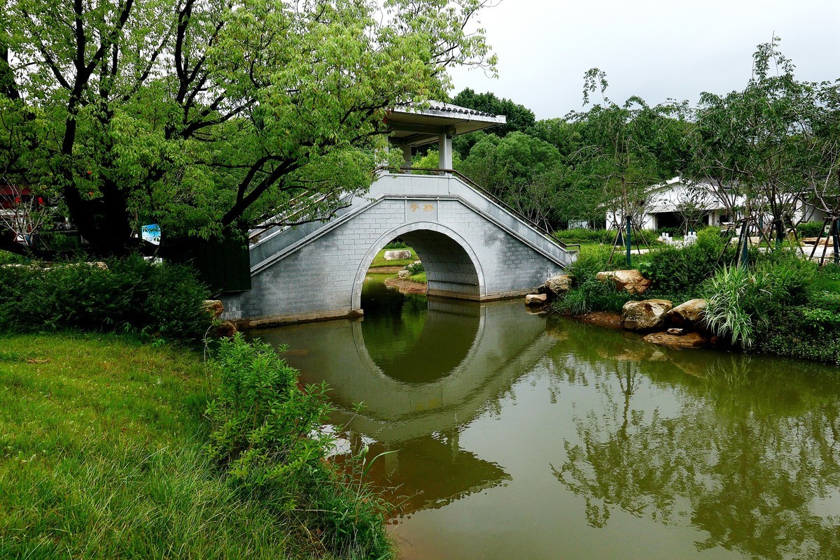 武汉映像---夏日的磨山荷花园！