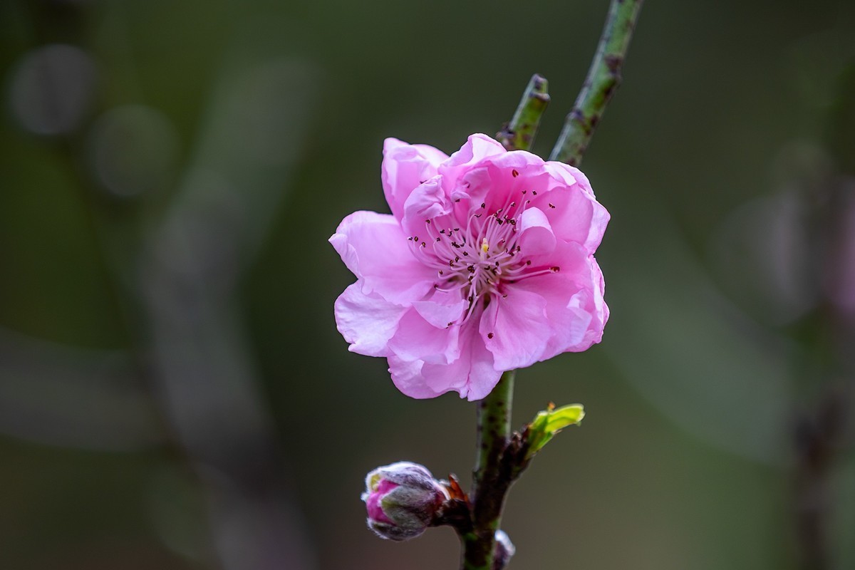 #版主坐堂#小五星空(中国)2022年7月精品荟萃