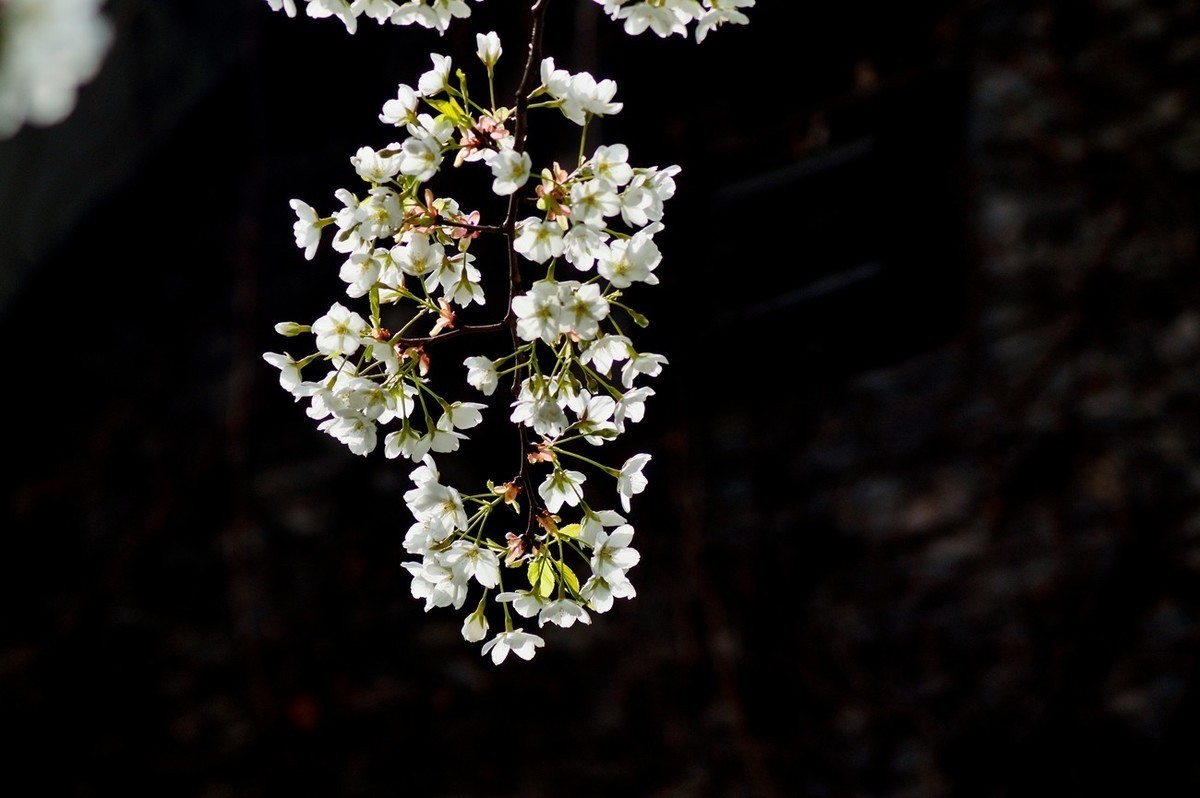#版主坐堂#小五星空(中国)2022年7月精品荟萃