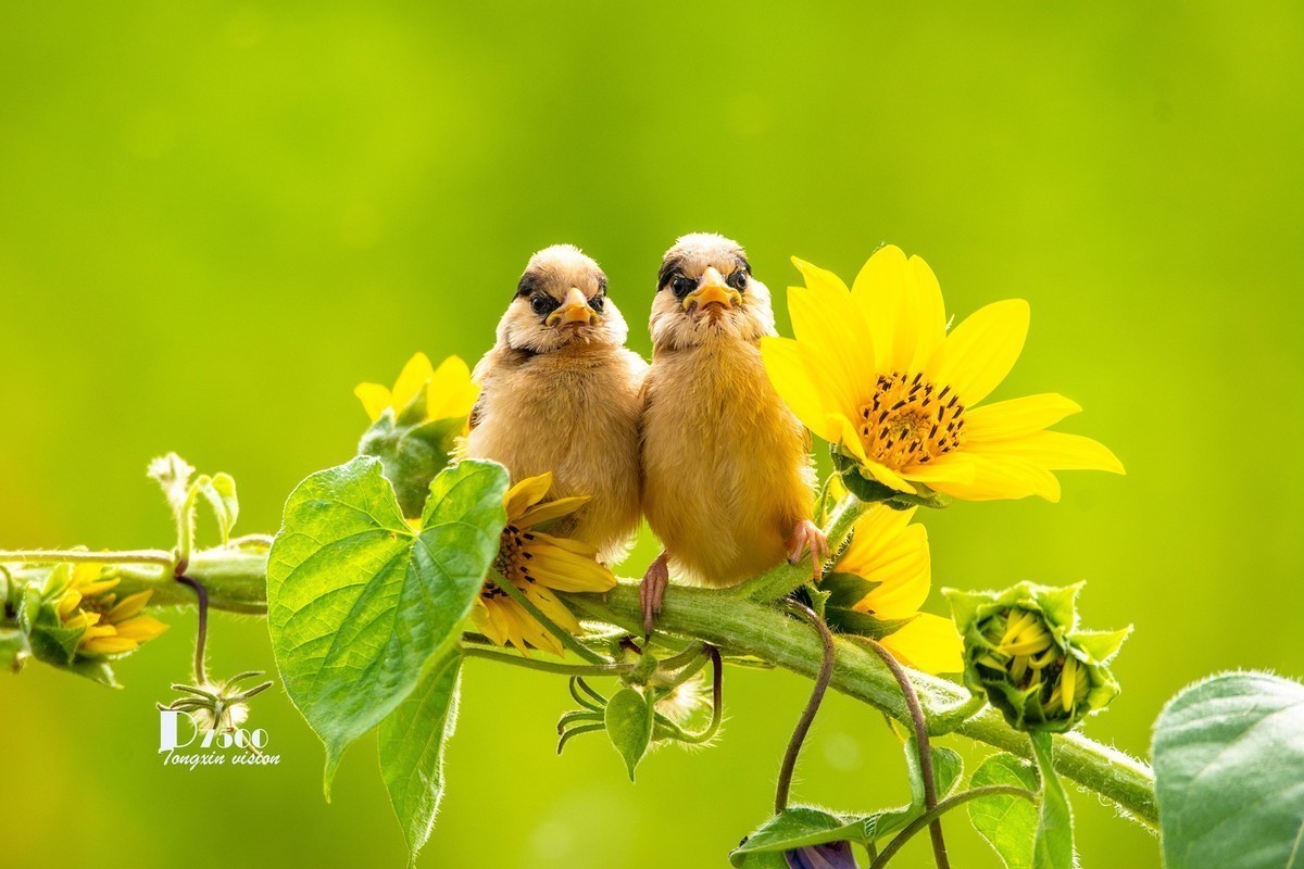 #版主坐堂#小五星空(中国)2022年7月精品荟萃