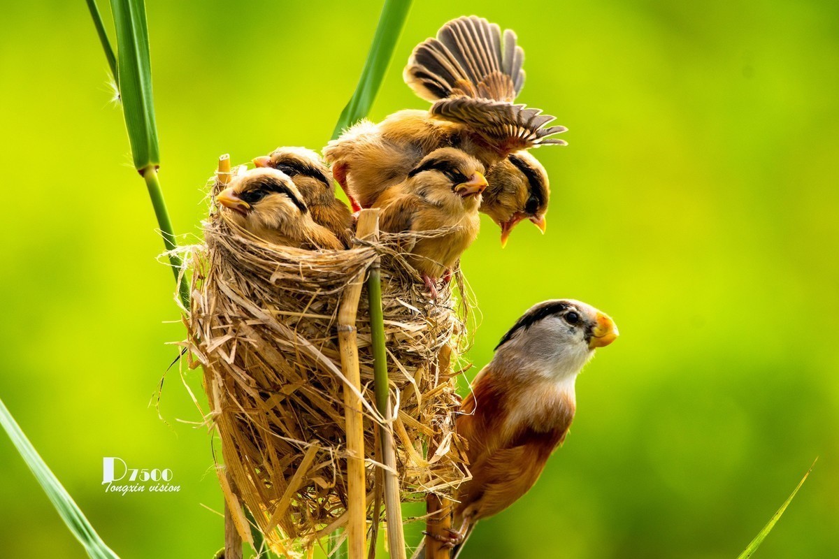 #版主坐堂#小五星空(中国)2022年7月精品荟萃