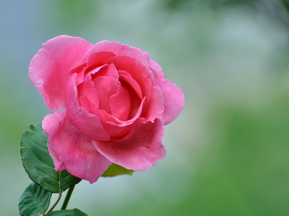 #版主坐堂#索尼大版星空(中国)2022年7月份优秀作品精选汇总