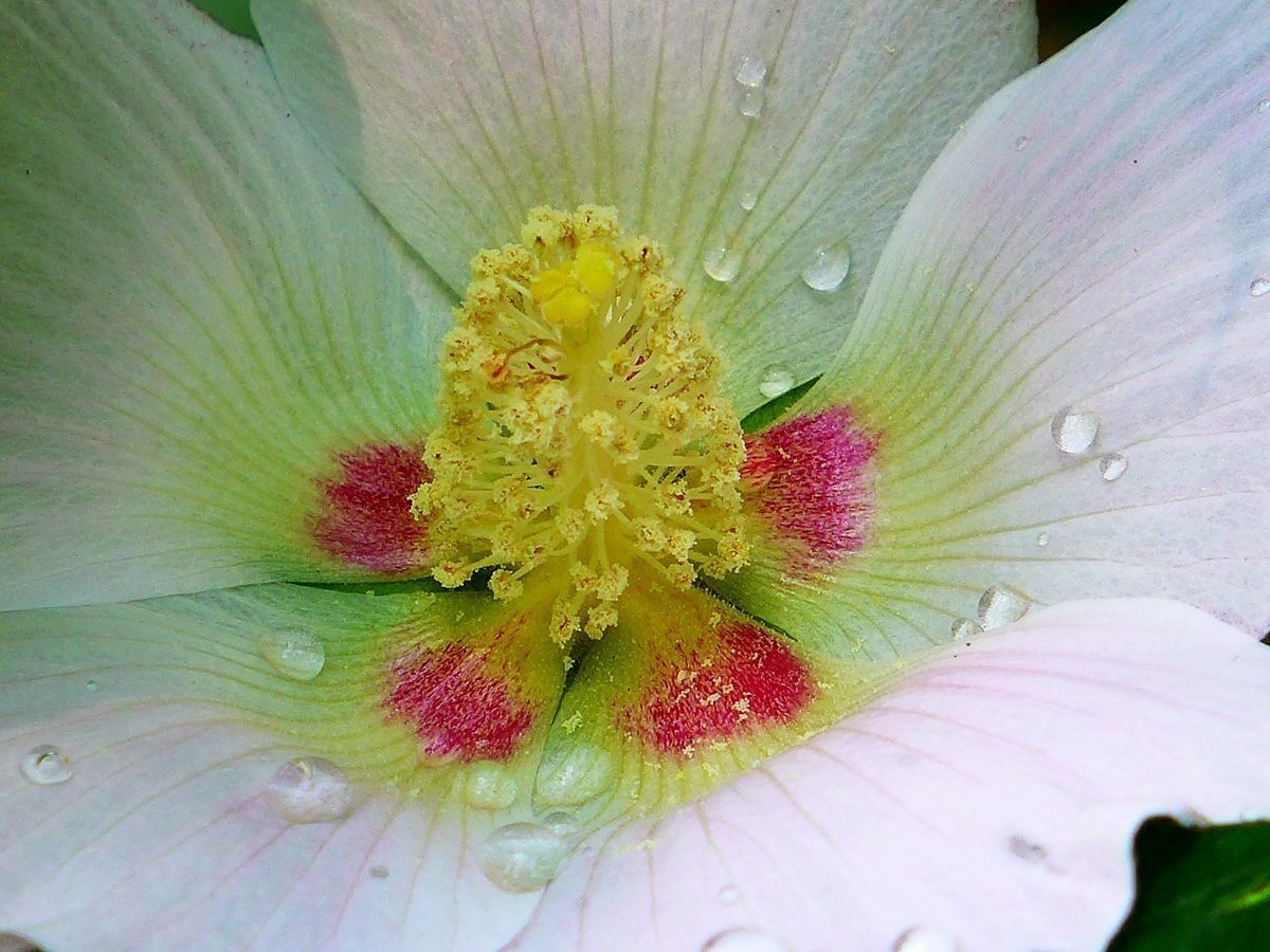 #版主坐堂#索尼大版星空(中国)2022年7月份优秀作品精选汇总