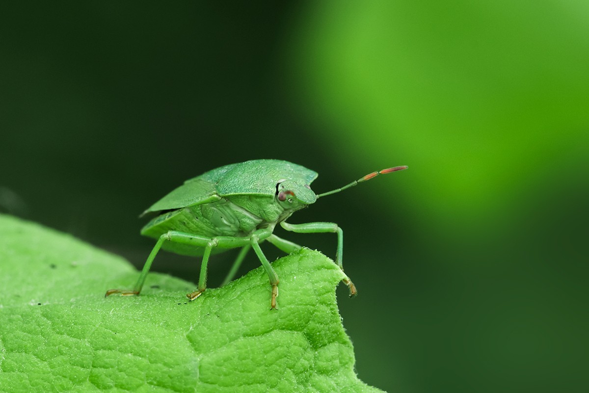 #版主坐堂#索尼大版星空(中国)2022年7月份优秀作品精选汇总