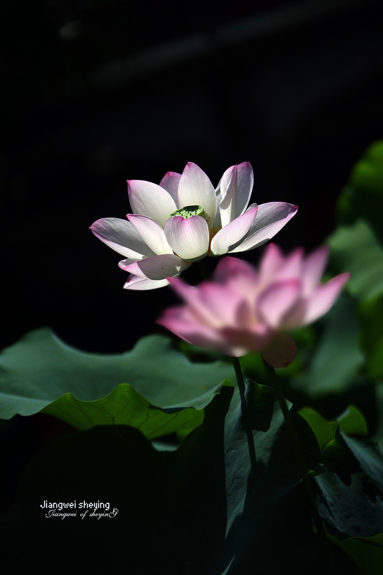 #版主坐堂#索尼大版星空(中国)2022年7月份优秀作品精选汇总