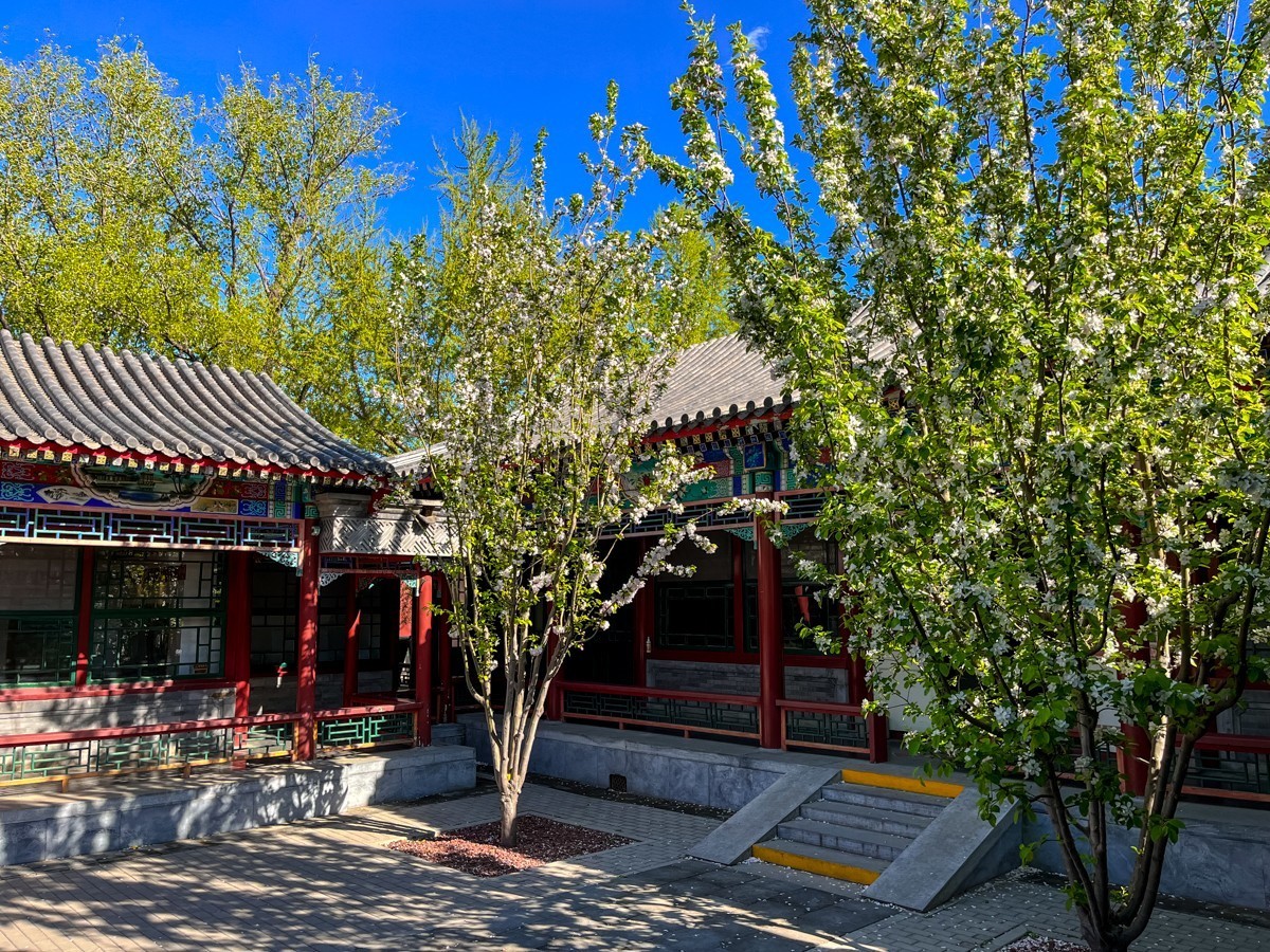 2023年第0245贴-中山公园纪实抓拍（0412F）